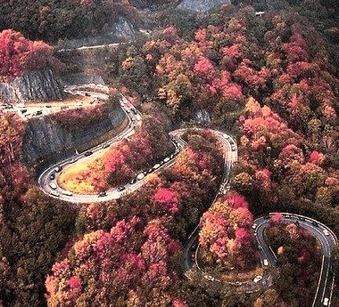 Autumn Switchbacks, Chattanooga, Tennessee