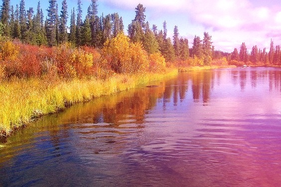 by Dru! on Flickr.Early fall colours at the outlet of Wolverine Lake, Yukon, Canada.