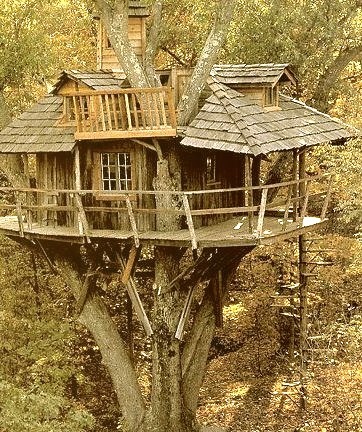 Inhabited Tree House, Marin, California