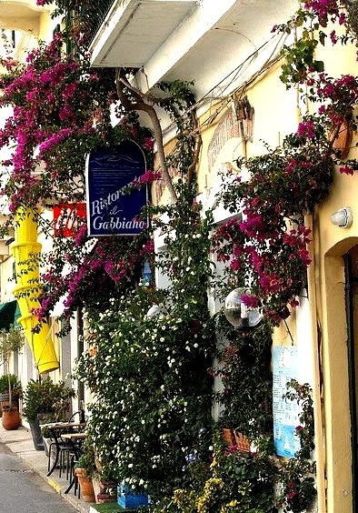 Bougainvillea on the streets of Monterosso, Cinque Terre, Italy