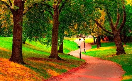 Autumn Path, Central Park, New York City