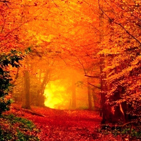 Autumn Glow, Romania