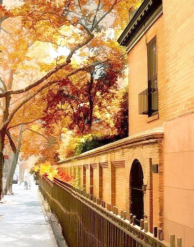 Autumn, New York City