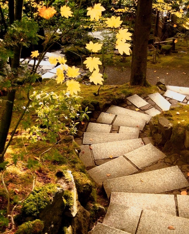 Seeking the path to enlightenment, Portland Japanese Garden, Oregon, USA