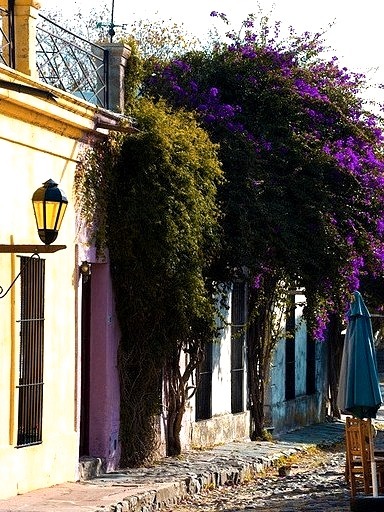 Cobblestone streets in Colonia del Sacramento, Uruguay