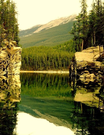 Shades of Green,  Banff National Park, Alberta, Canada