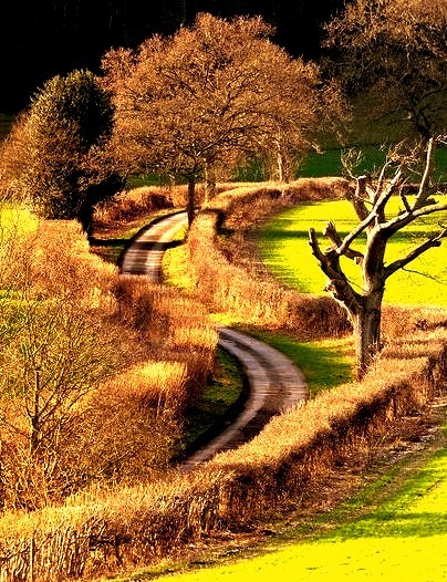 The winding country lane, Oxfordshire, England