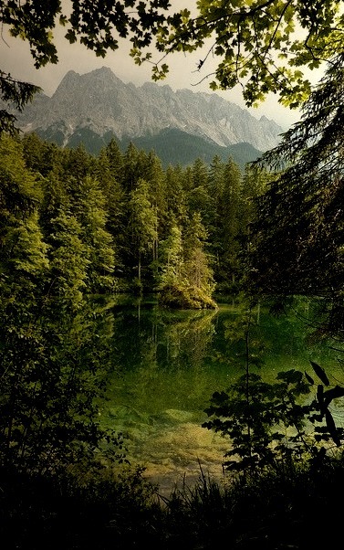 Glacial green in the woods, Badersee / Germany