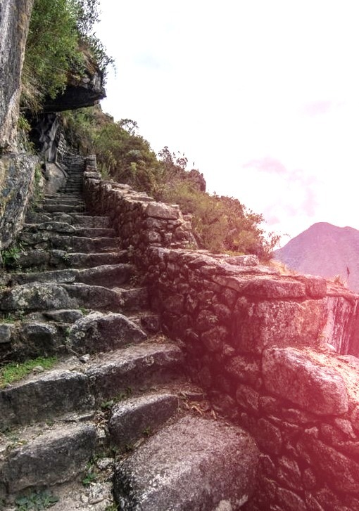 Sacred City path, Machu Picchu / Peru